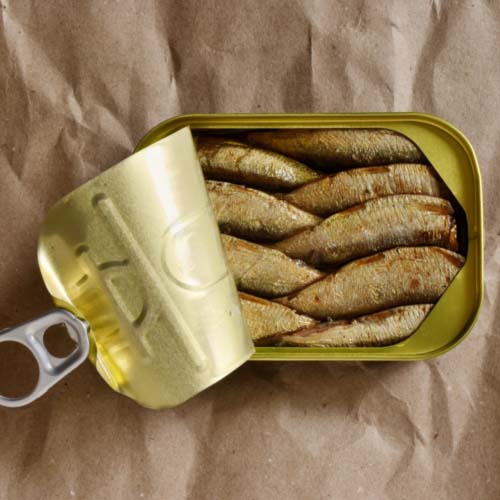 conservas de carne, peixe e legumes