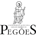 LogosP&B_ transparente-11