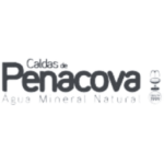 LogosP&B_ transparente-12