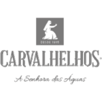 LogosP&B_ transparente-16