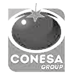 LogosP&B_ transparente-30